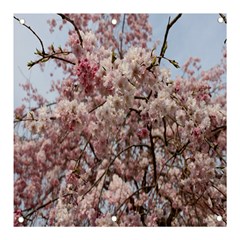 Almond Tree Flower Banner And Sign 3  X 3  by artworkshop