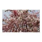 Almond Tree Flower Banner and Sign 5  x 3  Front