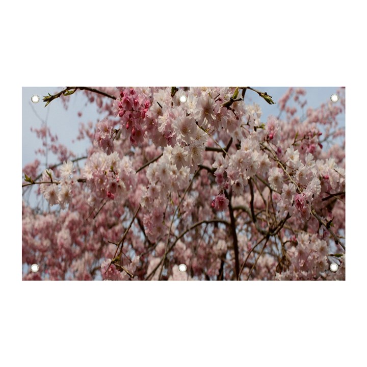 Almond Tree Flower Banner and Sign 5  x 3 