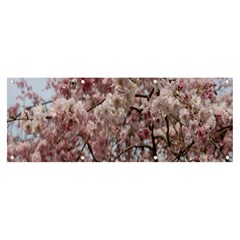 Almond Tree Flower Banner And Sign 8  X 3  by artworkshop