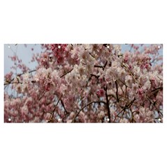 Almond Tree Flower Banner And Sign 8  X 4  by artworkshop