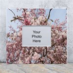 Almond Tree Flower White Wall Photo Frame 5  x 7  Front