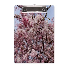 Almond Tree Flower A5 Acrylic Clipboard by artworkshop