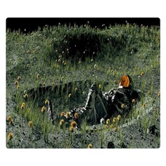 Amoled Premium Plush Fleece Blanket (small) by artworkshop