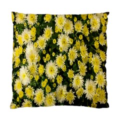 Autumn Background Closeup Flowers Standard Cushion Case (two Sides) by artworkshop