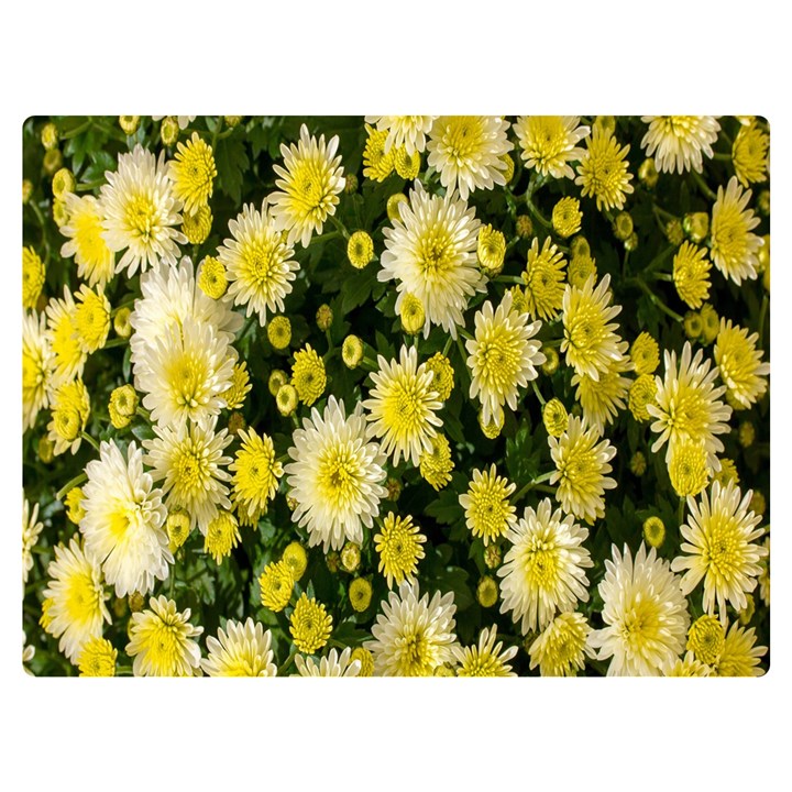 Autumn Background Closeup Flowers One Side Premium Plush Fleece Blanket (Extra Small)