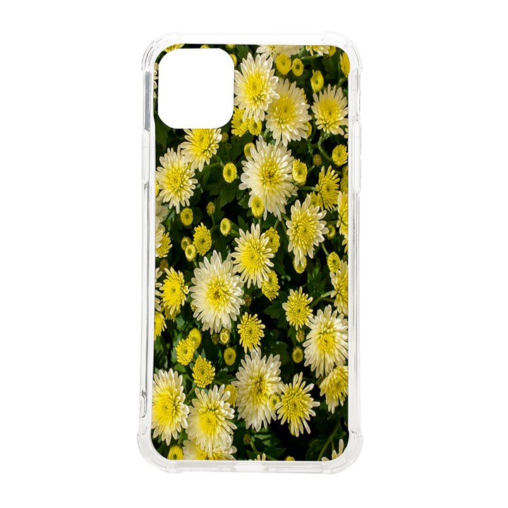 Autumn Background Closeup Flowers iPhone 11 Pro Max 6.5 Inch TPU UV Print Case