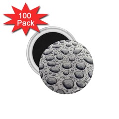 Bacteria 1 75  Magnets (100 Pack)  by artworkshop