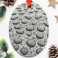 Bacteria Oval Ornament (two Sides) by artworkshop