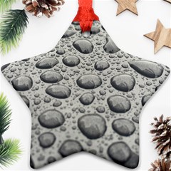 Bacteria Star Ornament (two Sides) by artworkshop