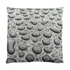 Bacteria Standard Cushion Case (one Side) by artworkshop