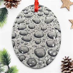 Bacteria Oval Filigree Ornament (two Sides) by artworkshop