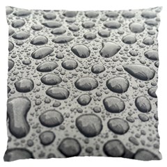 Bacteria Standard Premium Plush Fleece Cushion Case (two Sides) by artworkshop