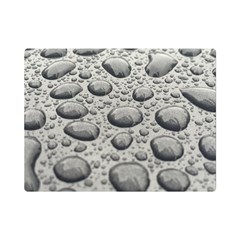 Bacteria One Side Premium Plush Fleece Blanket (mini) by artworkshop