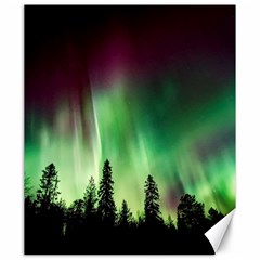 Aurora Borealis Northern Lights Nature Canvas 20  X 24  by Ravend