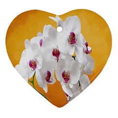 Boards Decoration Flower Flower Room Ornament (heart) by artworkshop