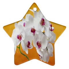 Boards Decoration Flower Flower Room Ornament (star)