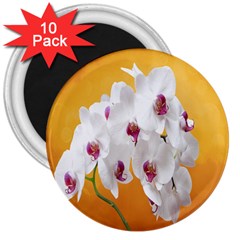 Boards Decoration Flower Flower Room 3  Magnets (10 Pack)  by artworkshop