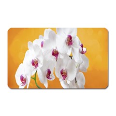 Boards Decoration Flower Flower Room Magnet (rectangular) by artworkshop