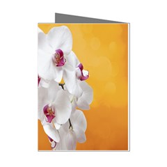 Boards Decoration Flower Flower Room Mini Greeting Cards (pkg Of 8) by artworkshop