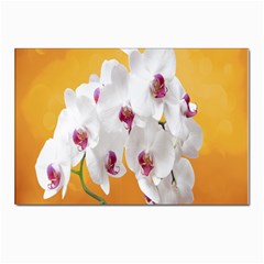 Boards Decoration Flower Flower Room Postcard 4 x 6  (pkg Of 10) by artworkshop