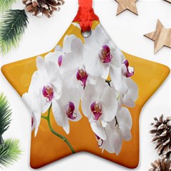 Boards Decoration Flower Flower Room Star Ornament (two Sides) by artworkshop