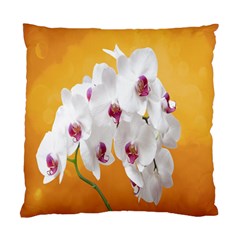 Boards Decoration Flower Flower Room Standard Cushion Case (two Sides) by artworkshop