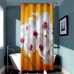 Boards Decoration Flower Flower Room Shower Curtain 36  X 72  (stall)  by artworkshop