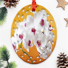 Boards Decoration Flower Flower Room Oval Filigree Ornament (two Sides) by artworkshop