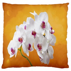 Boards Decoration Flower Flower Room Standard Premium Plush Fleece Cushion Case (two Sides) by artworkshop