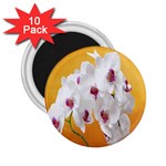 Boards Decoration Flower Flower Room 2.25  Magnets (10 pack)  Front