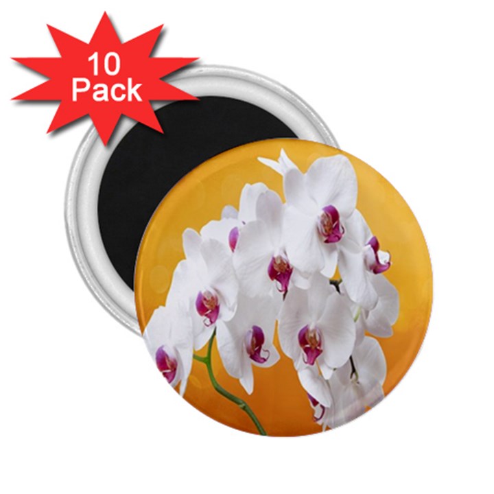 Boards Decoration Flower Flower Room 2.25  Magnets (10 pack) 