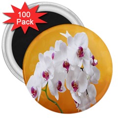 Boards Decoration Flower Flower Room 3  Magnets (100 Pack) by artworkshop