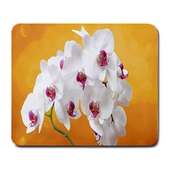 Boards Decoration Flower Flower Room Large Mousepad by artworkshop