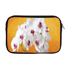 Boards Decoration Flower Flower Room Apple Macbook Pro 17  Zipper Case by artworkshop