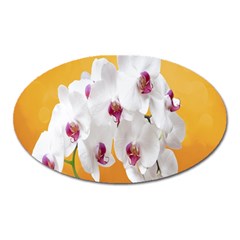 Boards Decoration Flower Flower Room Oval Magnet by artworkshop