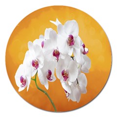 Boards Decoration Flower Flower Room Magnet 5  (round) by artworkshop