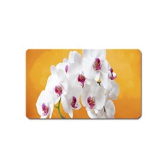 Boards Decoration Flower Flower Room Magnet (name Card) by artworkshop