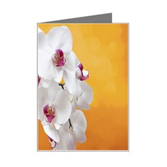 Boards Decoration Flower Flower Room Mini Greeting Card by artworkshop