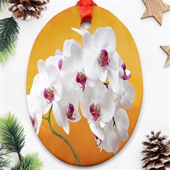 Boards Decoration Flower Flower Room Oval Ornament (two Sides) by artworkshop