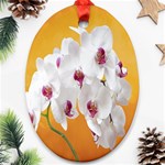 Boards Decoration Flower Flower Room Oval Ornament (Two Sides) Back