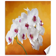 Boards Decoration Flower Flower Room Canvas 20  X 24  by artworkshop