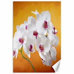 Boards Decoration Flower Flower Room Canvas 24  X 36  by artworkshop