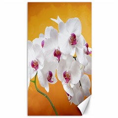 Boards Decoration Flower Flower Room Canvas 40  X 72  by artworkshop