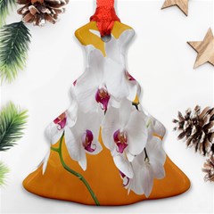 Boards Decoration Flower Flower Room Christmas Tree Ornament (two Sides) by artworkshop