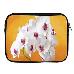 Boards Decoration Flower Flower Room Apple Ipad 2/3/4 Zipper Cases by artworkshop