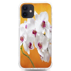 Boards Decoration Flower Flower Room Iphone 12/12 Pro Tpu Uv Print Case by artworkshop