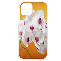 Boards Decoration Flower Flower Room Iphone 12 Pro Max Tpu Uv Print Case by artworkshop