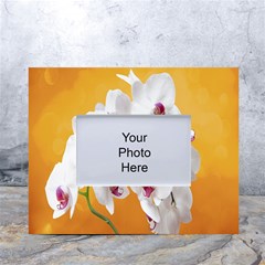 Boards Decoration Flower Flower Room White Tabletop Photo Frame 4 x6  by artworkshop