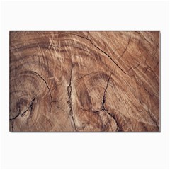 Brown Close Up Hd Wallpaper Surface Postcard 4 x 6  (pkg Of 10) by artworkshop